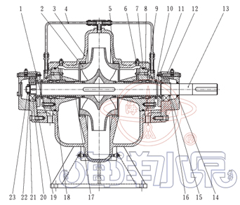 SOW型蜗壳式双吸清水管道离心泵结构图